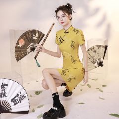 Oriental Qipao Cheongsam Chinese Dress -4V6YD8WB3