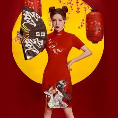 Oriental Qipao Cheongsam Chinese Dress -HLTPVSHYR