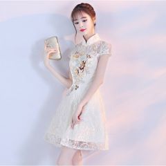 Oriental Qipao Cheongsam Chinese Dress -JPODJVHZ8