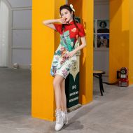 Oriental Qipao Cheongsam Chinese Dress -J0LJ386V7-1